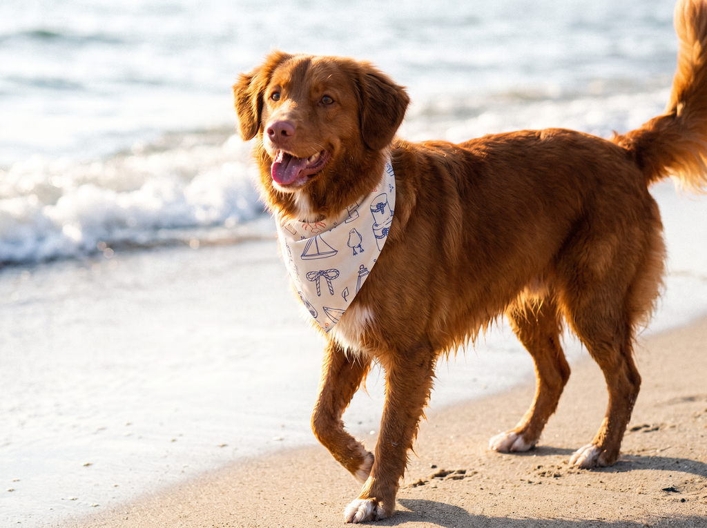 Salty Pup All-over print bandana